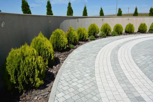Best Driveway Paving Contractor  in Upland, IN